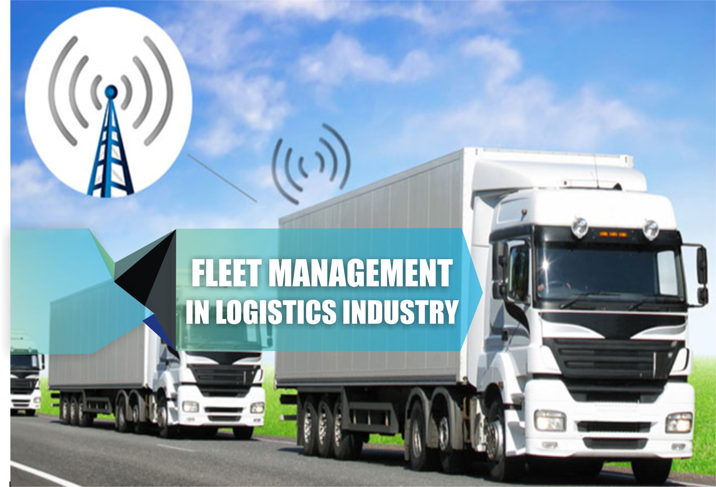How To Manage An Effective Transport Fleet
